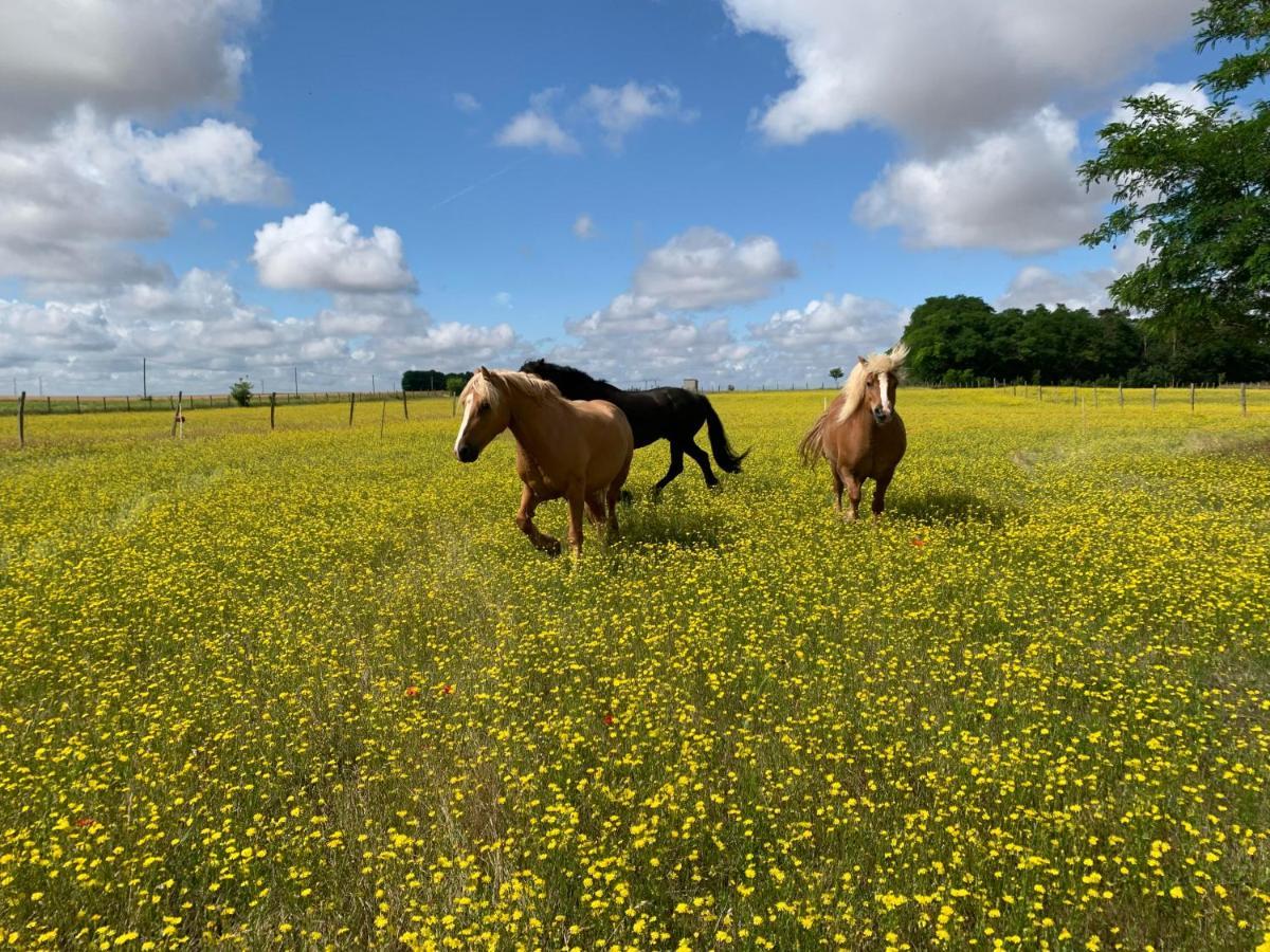 Mobilhome Sous Chalet En Bois A La Ferme Josnes Exteriör bild